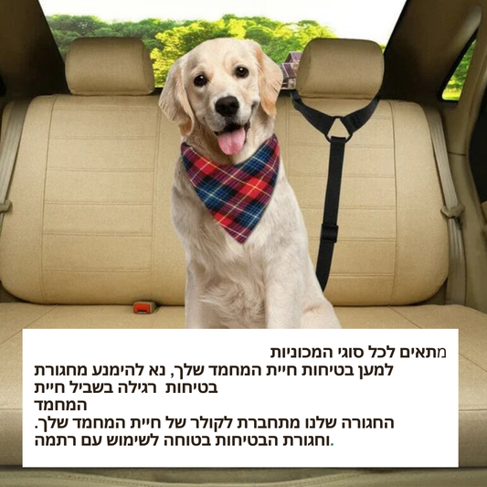 רצועת הבטחה לרכב