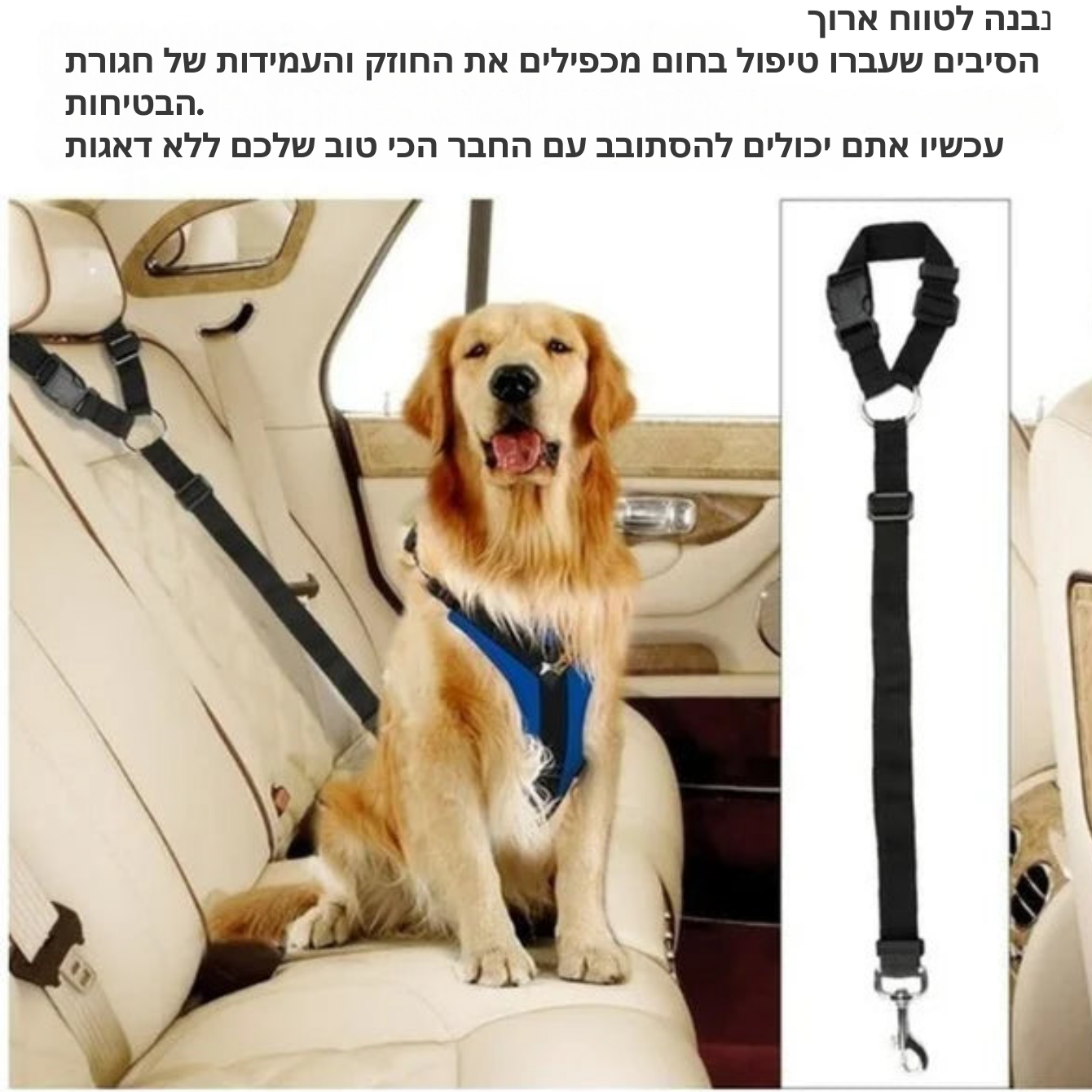 רצועת הבטחה לרכב