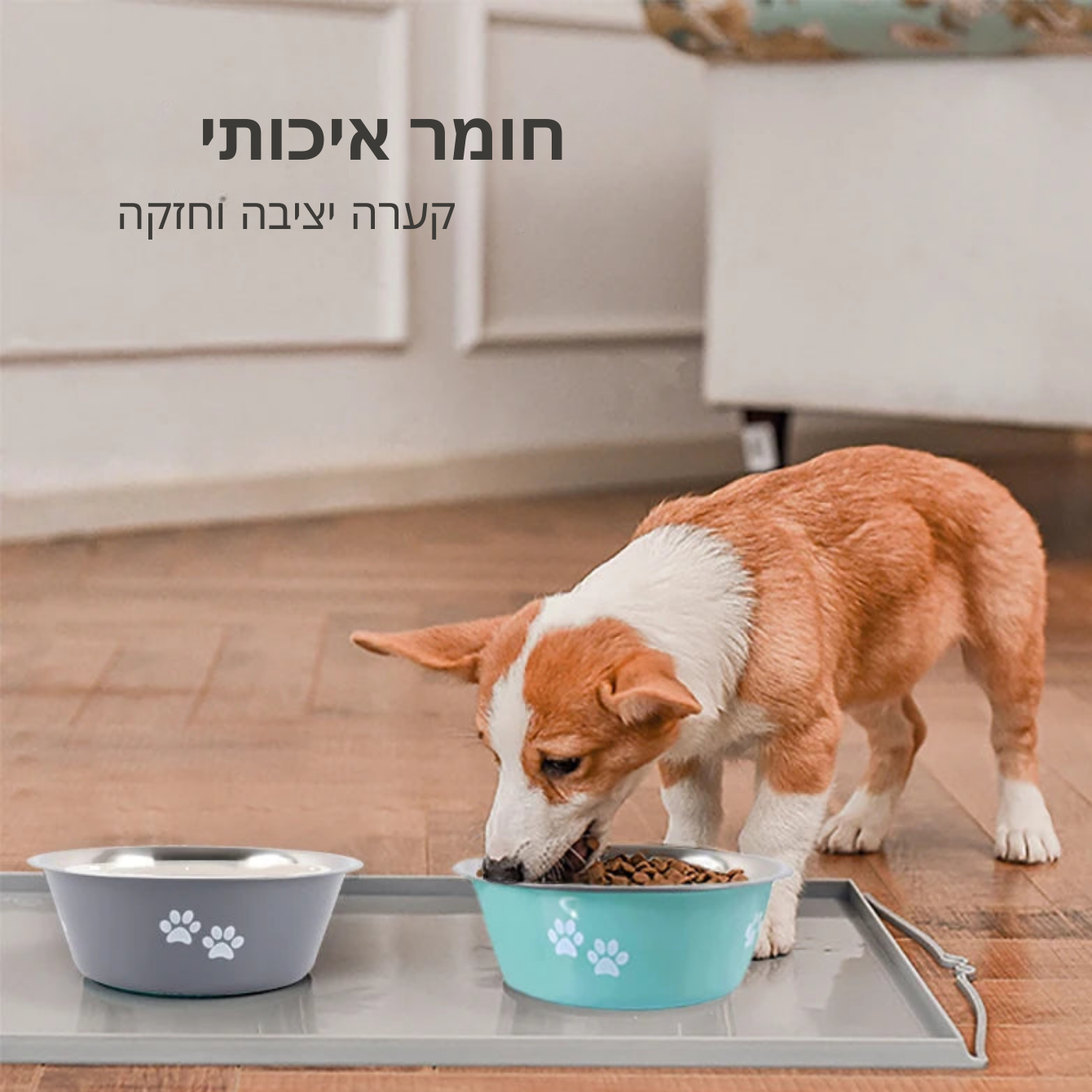 קערה למזון ומים נגד החלקה