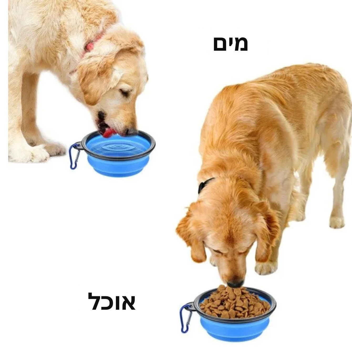 קערה נפתחת לכלב ולחתול לטיולים בשטח